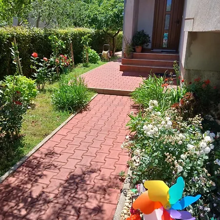 Apartment Luka Zadar
